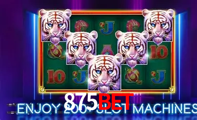 Recursos de Bônus 875bet